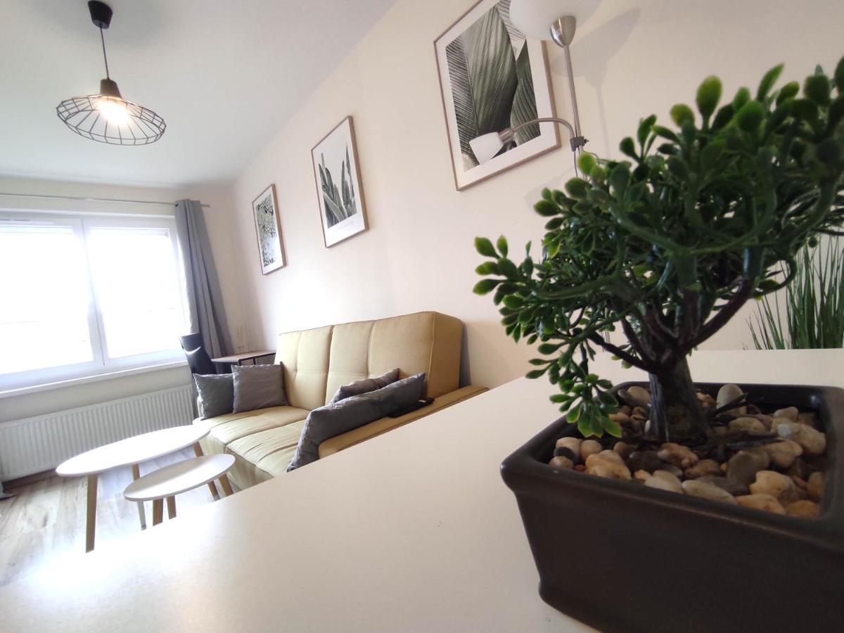 ***Casablanca Apartament*** - 40M² ✓ Rybnik  Exterior foto
